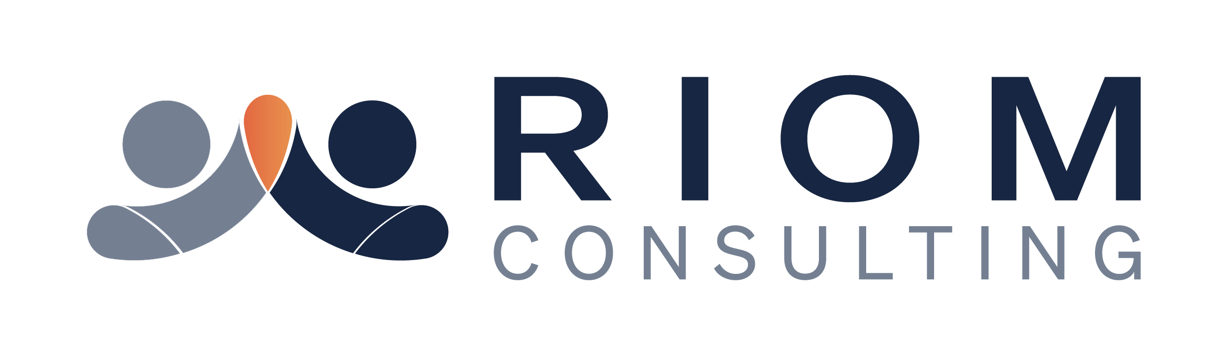 Consulting RIOM S.A.S.